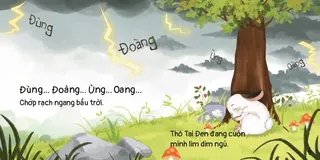 Thỏ Tai Đen ngủ giữa trận sấm sét