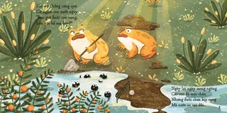 Hai con cóc chờ nòng nọc mọc chân trưởng thành