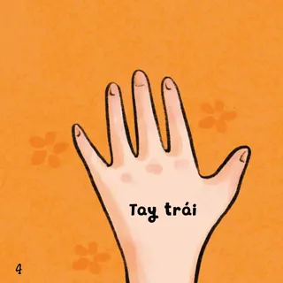 Tay trái - nhận biết bàn tay bé