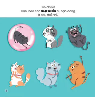 Mèo con ngạc nhiên với nhiều cảm xúc khác nhau
