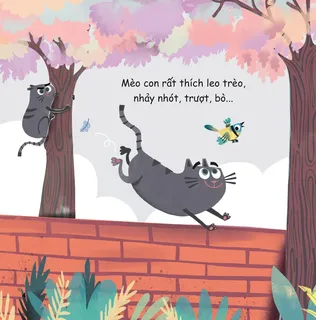 Mèo con thích leo trèo nhảy nhót vui chơi