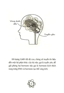 Vùng dưới đồi và tuyến yên tiết hormone