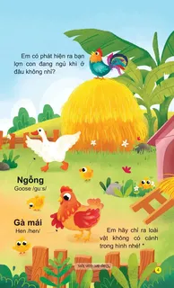 Học về ngỗng và gà mái ở trang trại