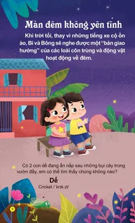 Màn đêm không yên tĩnh - âm thanh côn trùng