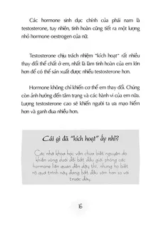 Testosterone và hormone ảnh hưởng dậy thì nam
