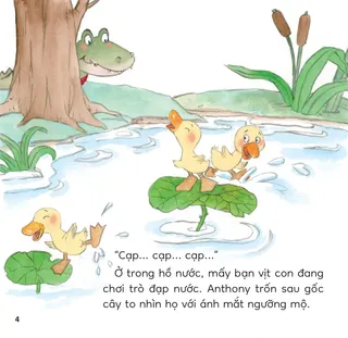 Cá sấu Anthony ngắm nhìn vịt con đạp nước