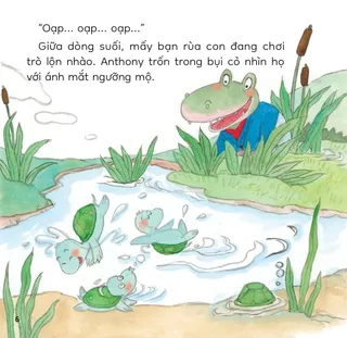 Anthony ngưỡng mộ rùa con chơi lộn nhào