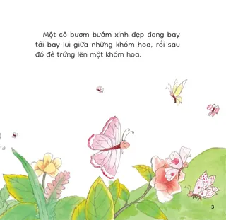 Bướm xinh đẻ trứng giữa khóm hoa