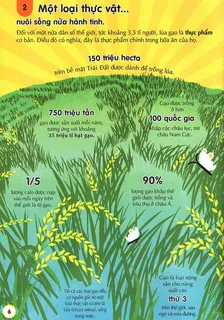 Lúa gạo - Thực vật nuôi sống nửa hành tinh