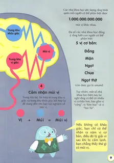 Cảm nhận mùi vị qua não bộ và lưỡi