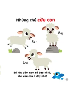 Những chú cừu con đáng yêu kêu Be