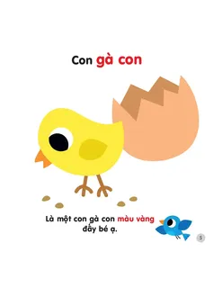Con gà con màu vàng mới nở