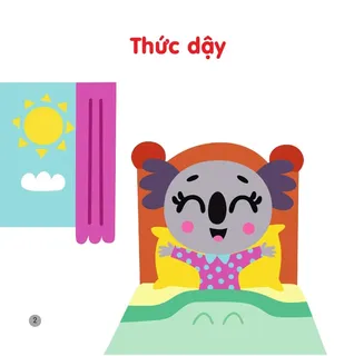 Thức dậy buổi sáng cùng gấu koala