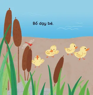 Bố dạy bé - Vịt con học bước đi