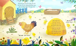 Gà mái và đàn gà con vườn nhà