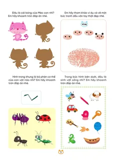 Câu đố nhận biết bóng, sinh vật và dấu vân tay