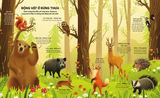 Động vật ở rừng thưa - Khám phá thiên nhiên