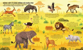 Động vật hoang dã vùng đồng cỏ châu Phi