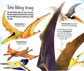 Các loài thằn lằn bay thời khủng long