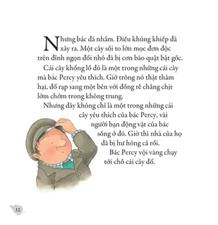 Bác Percy lo lắng sau cơn bão lớn