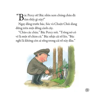 Bác Percy và tổ chim cũ trong rừng