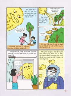 Cách phòng chống bão cát hiệu quả