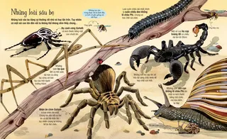 Những loài sâu bọ khổng lồ đáng kinh ngạc