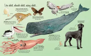 Động vật lớn nhất, nhanh nhất, nặng nhất