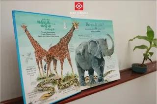 Khổng lồ động vật: Hươu cao cổ, voi và trăn
