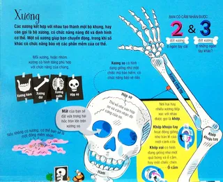 Bài học về xương và bộ khung cơ thể người