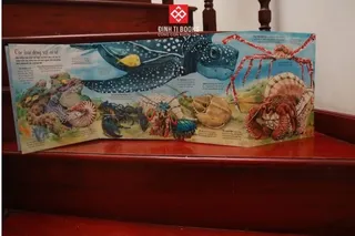 Các loài động vật có vỏ dưới đại dương