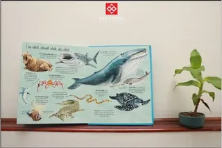Các loài động vật biển lớn nhất, nhanh nhất, dài nhất