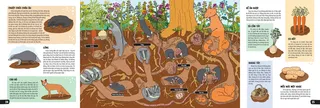 Cuộc sống bí ẩn dưới lòng đất