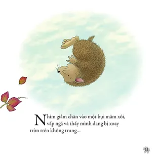 Nhím ngã lộn nhào trên không trung