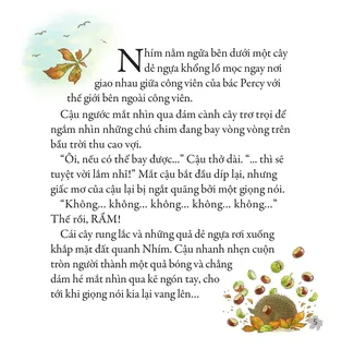 Nhím mơ ước được bay như chim