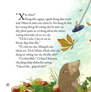 Nhím gặp cô chim mắc kẹt cần giúp đỡ