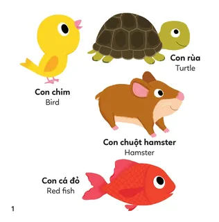 Các con vật nuôi trong nhà phổ biến