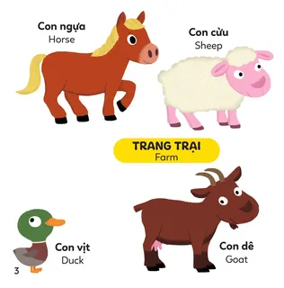 Động vật trang trại: ngựa, cừu, vịt, dê